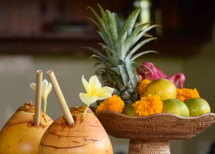 Alam Surya * Ubud