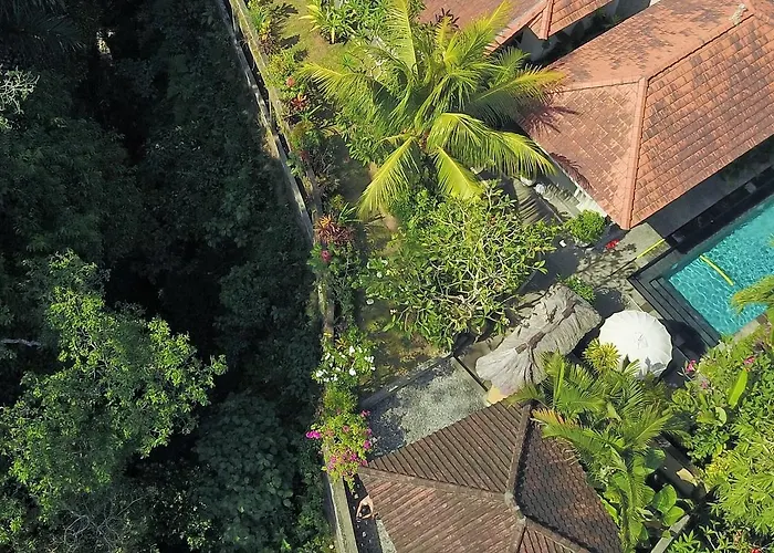 Alam Surya * Ubud